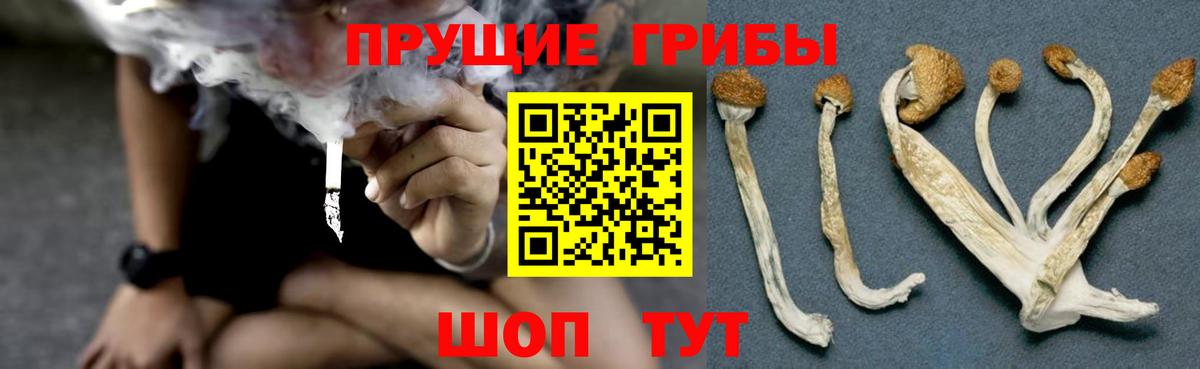 Галлюциногенные грибы мицелий  Вход с VPN  Нижний Тагил 